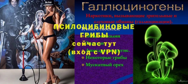 ECSTASY Киреевск